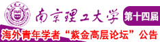 把坤巴捅进🍑的网站南京理工大学第十四届海外青年学者紫金论坛诚邀海内外英才！